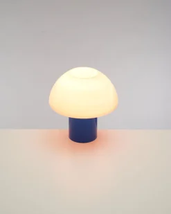 Cogumelo Glaslampe rosa blau
