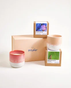 Coimbra Geschenk-Set Duftkerze apricot pink 3-teilig